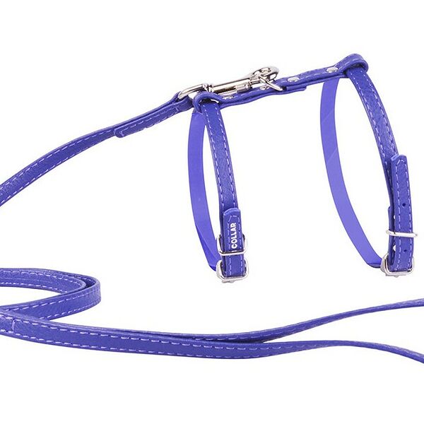 Collar шлея кожаная Glamour с поводком ширина 12 мм., Синий