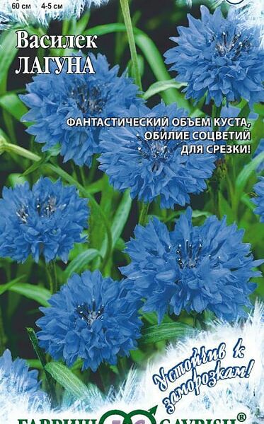 Семена Гавриш Василек Лагуна Синий 0.2г