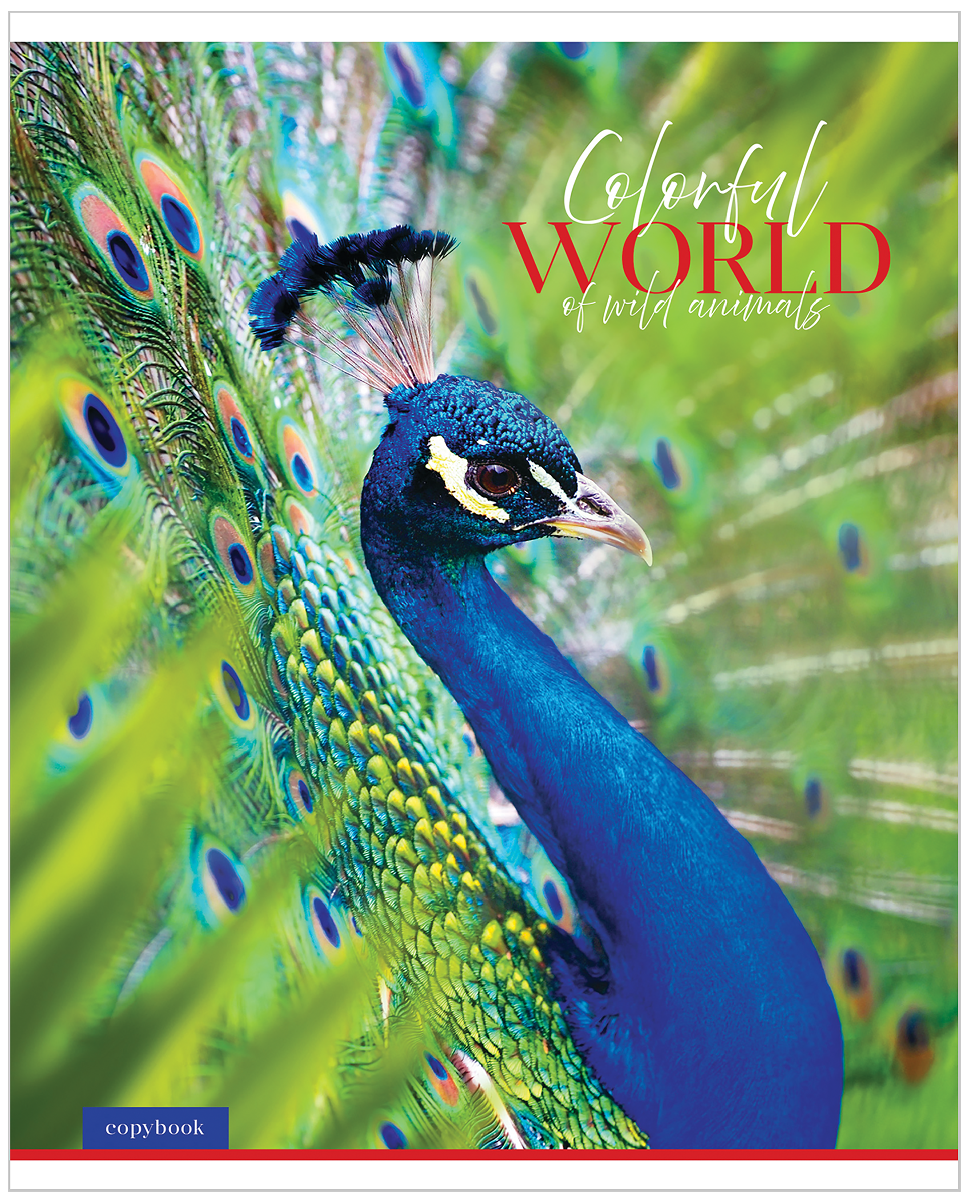 

Тетрадь ARTSPACE Животные Colorful world, А5, 48 листов, в клетку