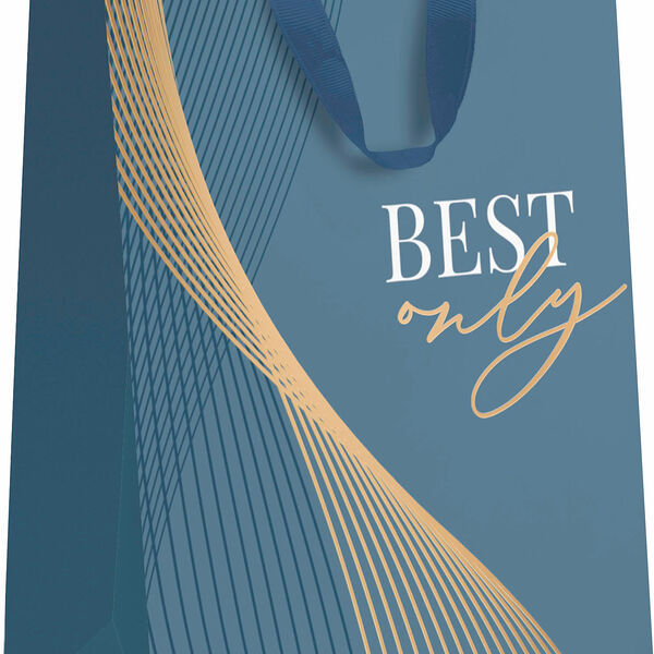 Пакет Пакетико подарочный матовая ламинация с тиснением Мт пдл м 22.7х18х10см