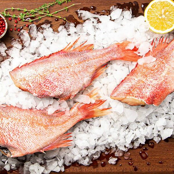 Окунь замороженный