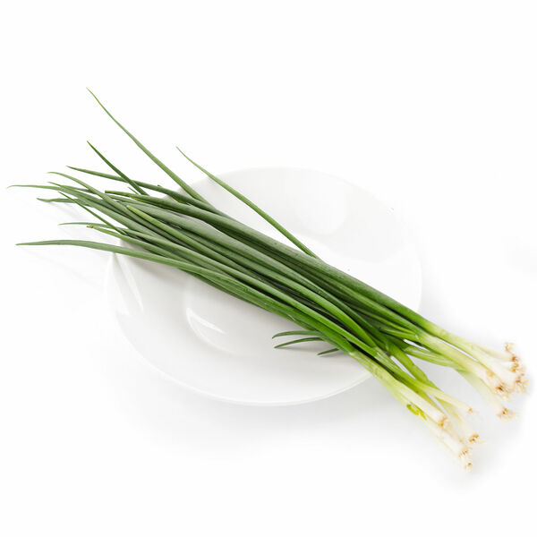 Лук зелёный Россия