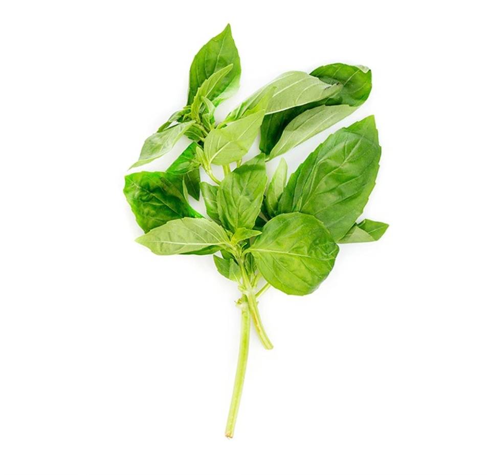 

Базилик зелёный, 20 г