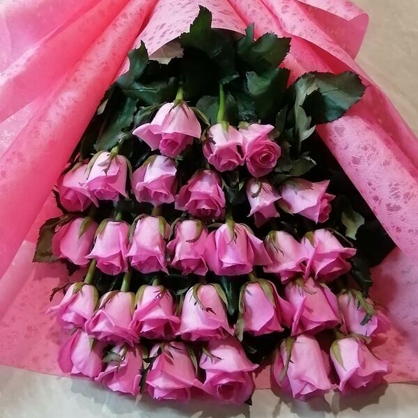 Нежная классика