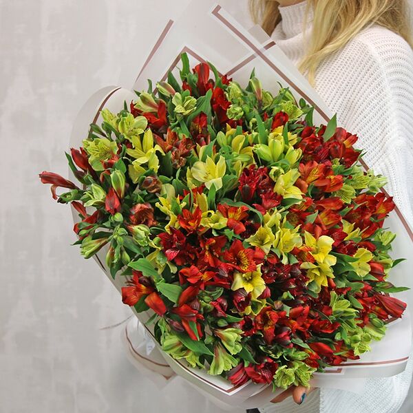 Букет из 51 альстромерии яркий микс в упаковке