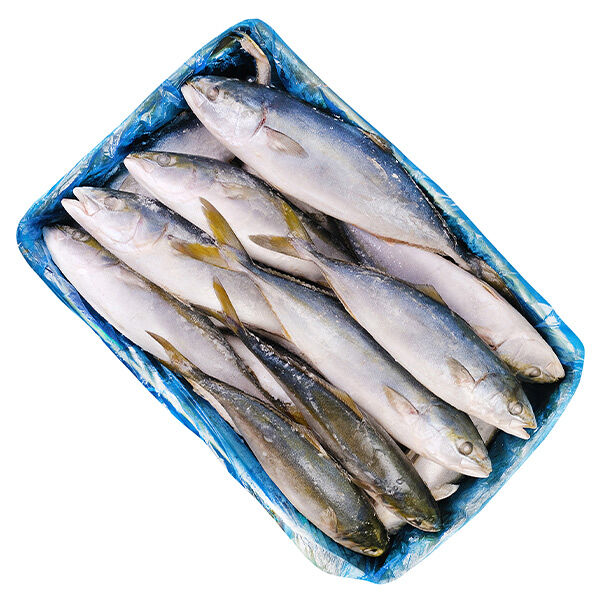 Тунец желтохвостый замороженный ОПТ