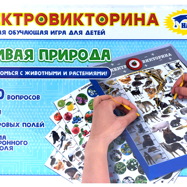 Игра Настольная Десятое Королевство Электровикторина в Ассорт. Арт. 02813 (россия)