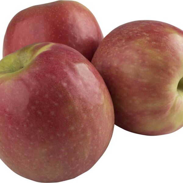 Яблоки Пинк Леди