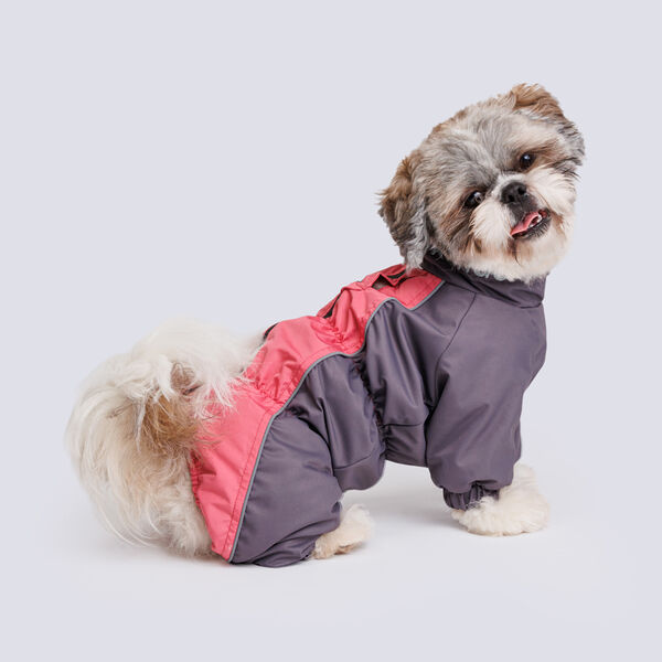 Комбинезон теплый для собак породы пекинес, розово-серый, (девочка)
