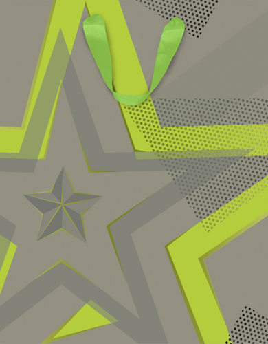 

Пакет подарочный Neon, 22,7х18х10см, Арт. MT