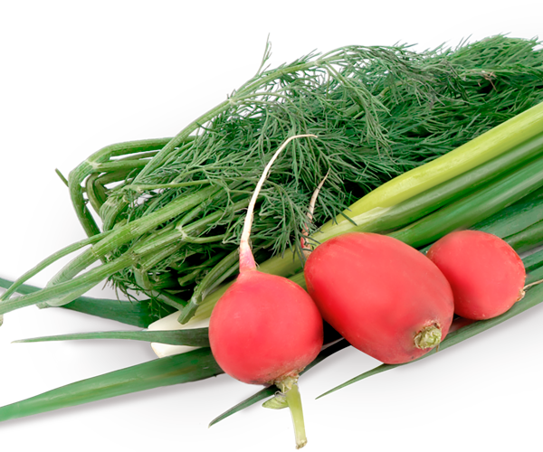 Набор зелени для окрошки