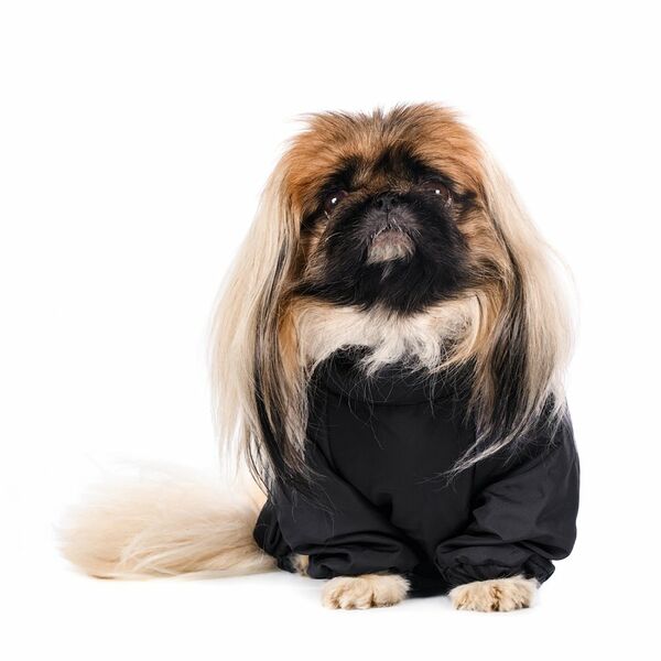 Комбинезон теплый для собак средних пород Пекинес 40x36x53см XL красный (мальчик)