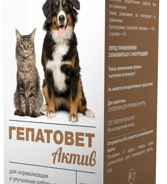 Apicenna Гепатовет Актив суспензия для кошек и собак 100 мл