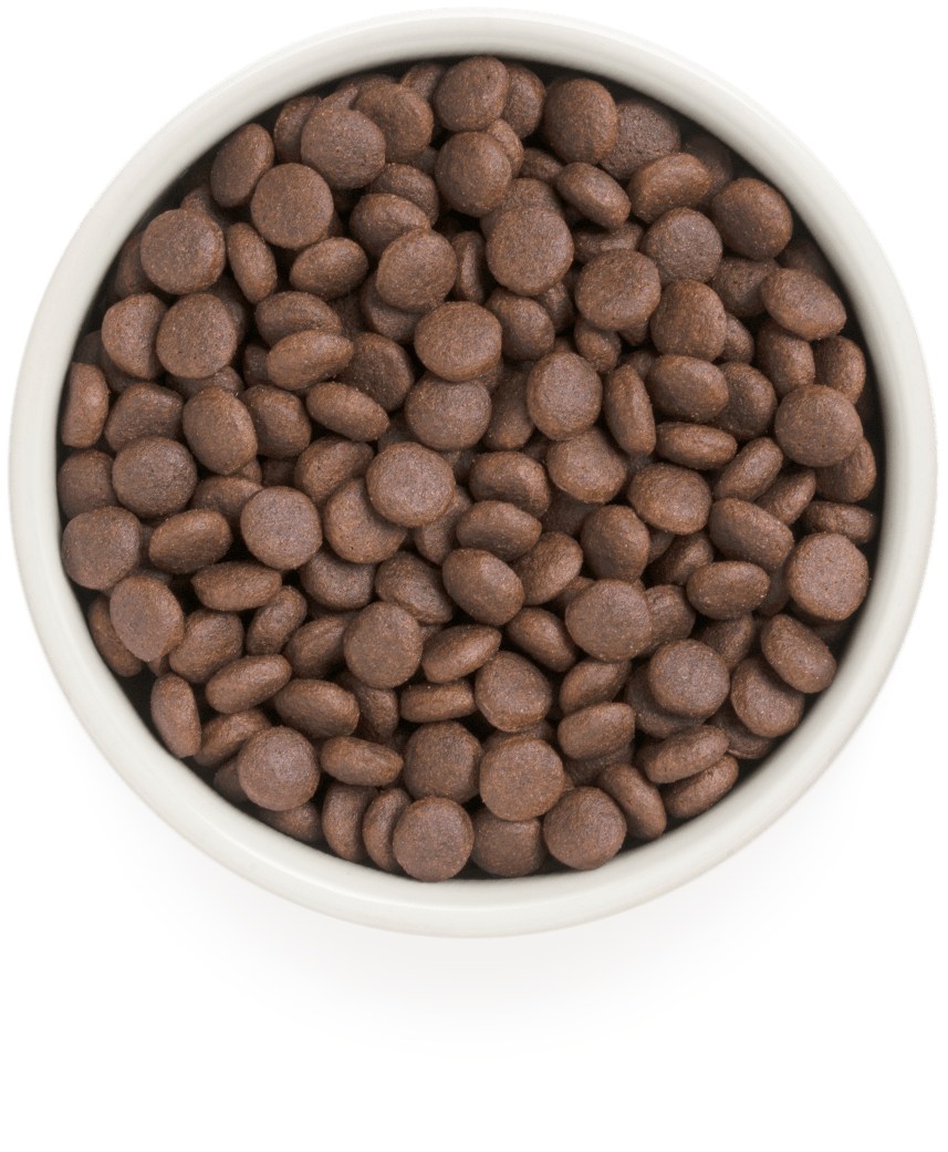 

Сухой корм Grandorf Adult Medium&Maxi Индейка для собак 3 кг