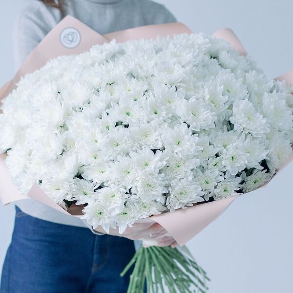 Букет из 51 белой кустовой хризантемы в кремовой пленке