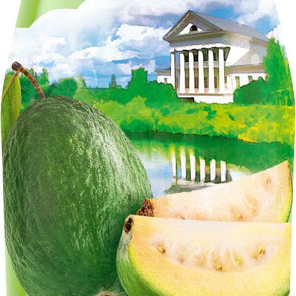 Напиток Ильинские лимонады Фейхоа, газированный 480 мл