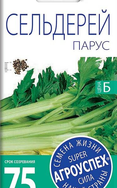 Семена Агроуспех Сельдерей черешковый Парус 0.5г