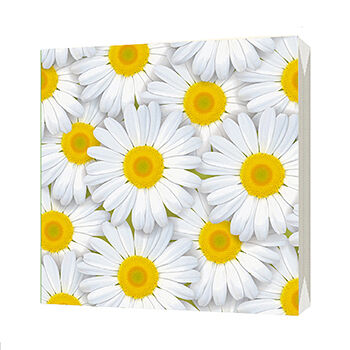 Салфетки бумажные BGREEN Ромашки 3сл 33*33см, 20шт., Россия