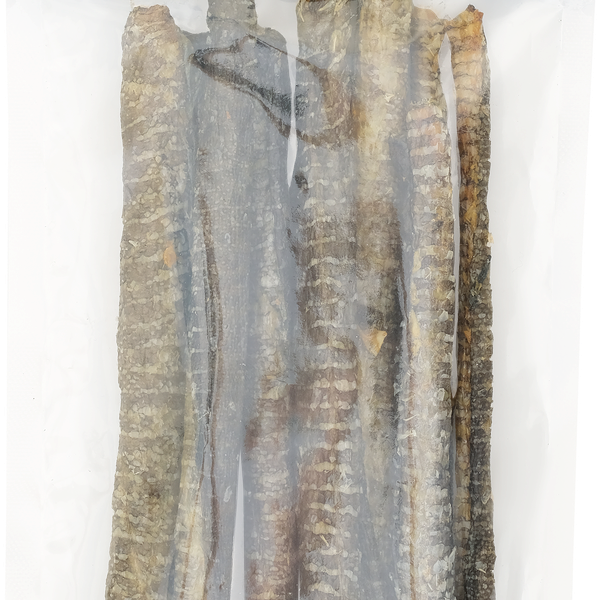 Лакомство для собак OCEANDOG из сушеной кожи атлантической трески