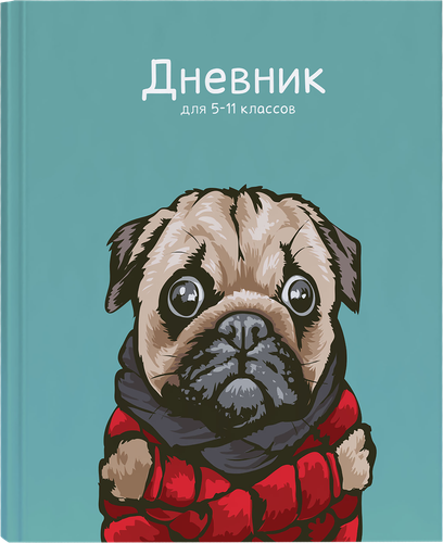 

Дневник для старших классов ACADEMY STYLE 48 листов