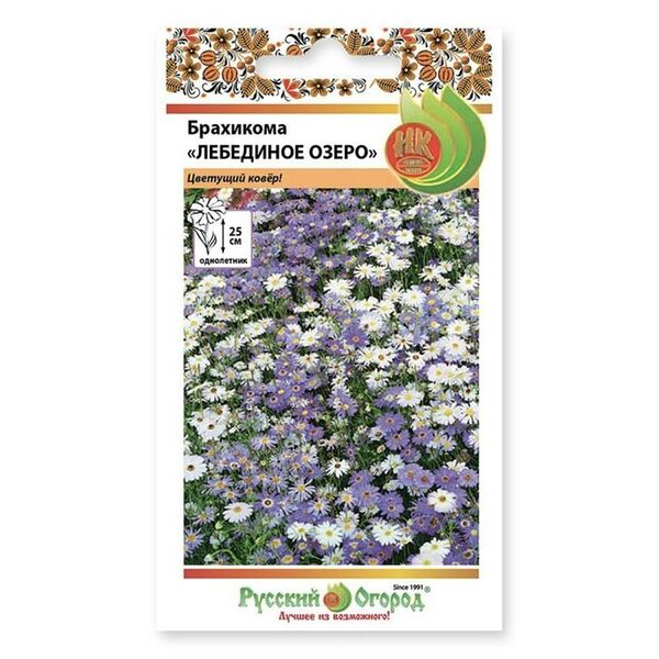 Цветы Брахикома Лебединое озеро, 0.1 г