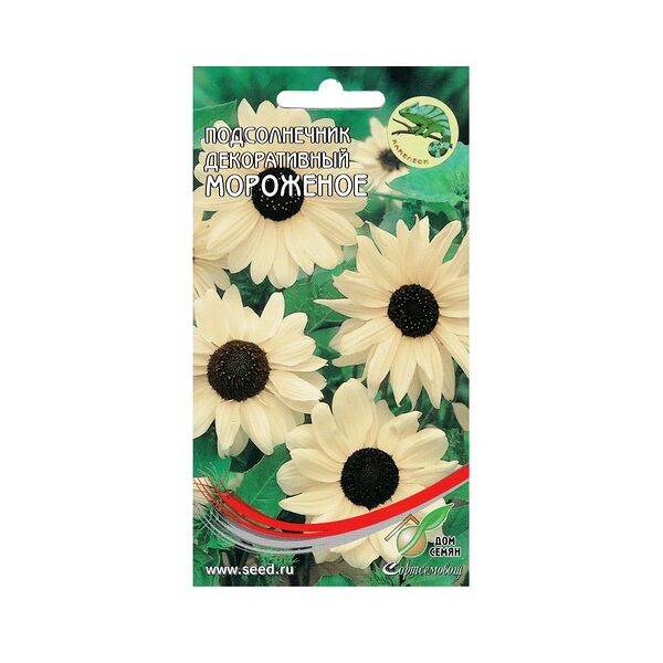 Семена Подсолнечник декоративный кремово-белый Мороженое