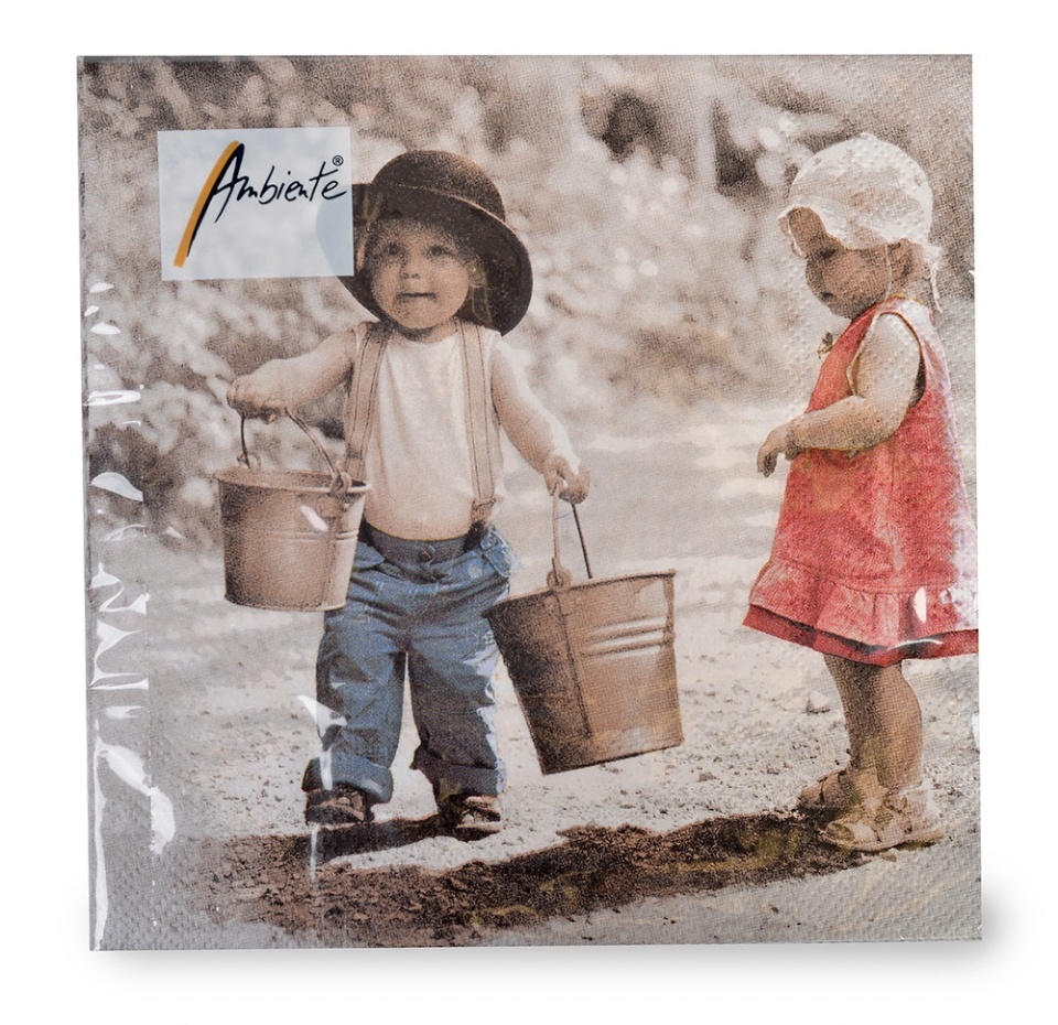 

Салфетки сервировочные Ambiente Джентельмен 33х33 см