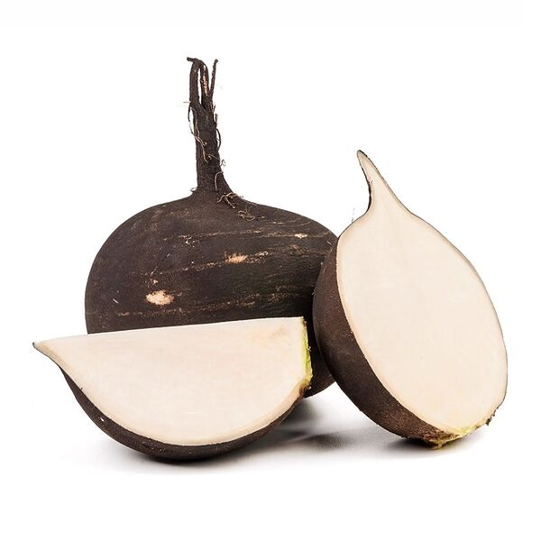 Редька чёрная