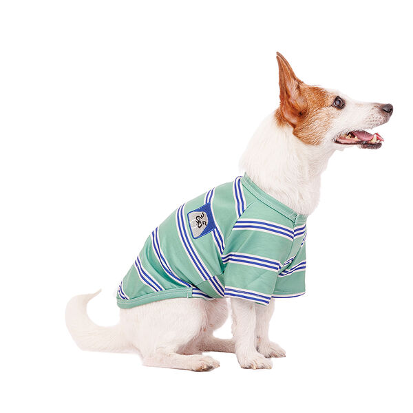 Футболка для собак L зеленый (унисекс)