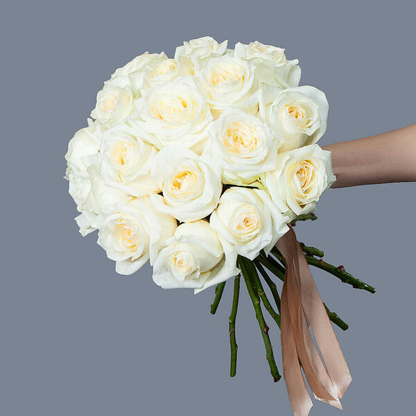 Монобукет 17 пионовидных Роз Candlelight под ленту