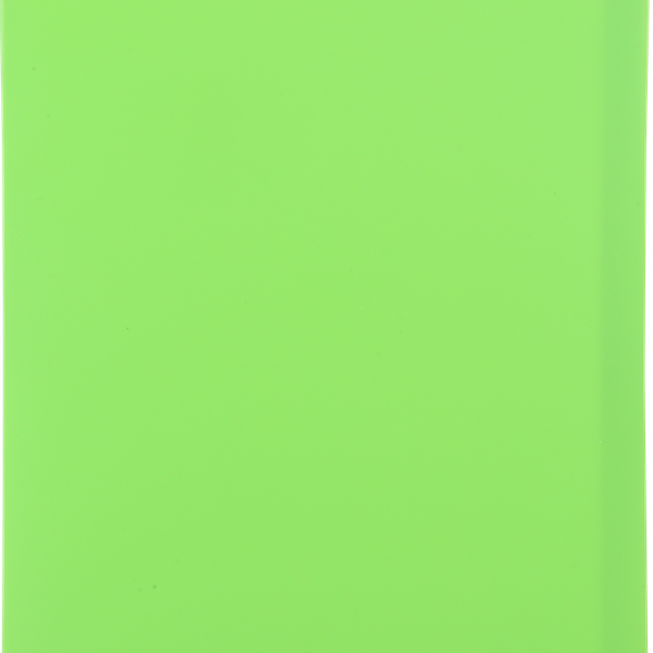 Папка BRAUBERG Neon 700мкм, 40 вкладышей, 25мм, неоновая зеленая