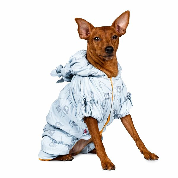 Комбинезон для собак 2XL голубой (девочка)