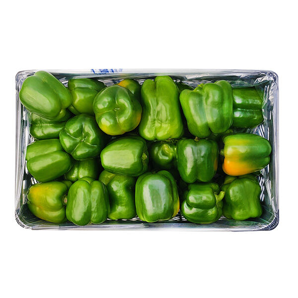 Перец болгарский зеленый ОПТ