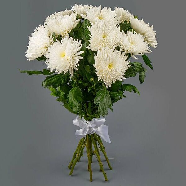 Букет из 11 белых хризантем Сингл