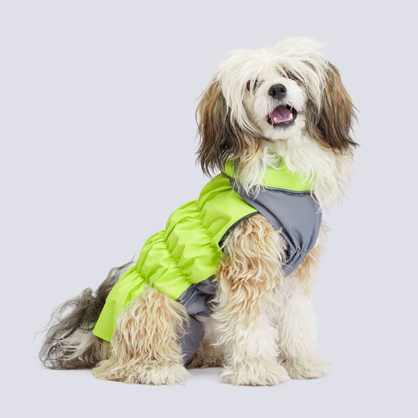 Жилетка для собак Rungo мальчик, спина 32 грудь 52, лайм