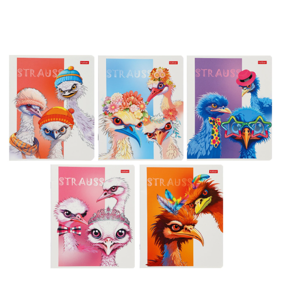 Тетрадь А5 в клетку Hatber Модные страусы, дизайн в ассортименте, 48 листов