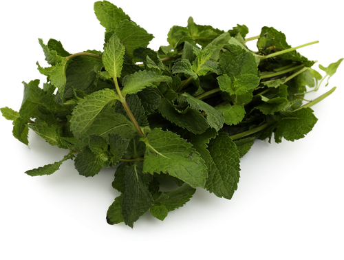 

Мята свежая ЗЛ вес