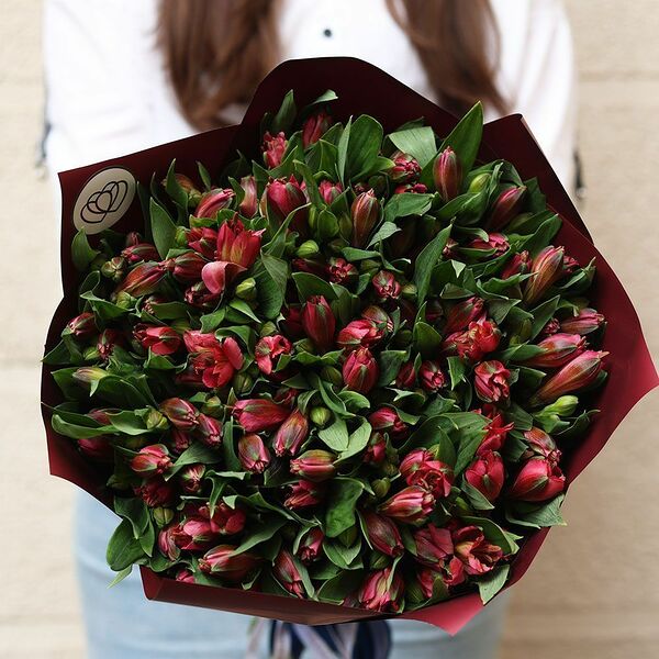 Букет из 23 красных альстромерий