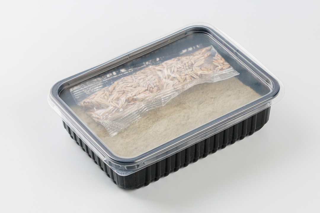 

Набор для выращивания "Трава для собак мелких пород". Ми-Ми-Мишки 30 г