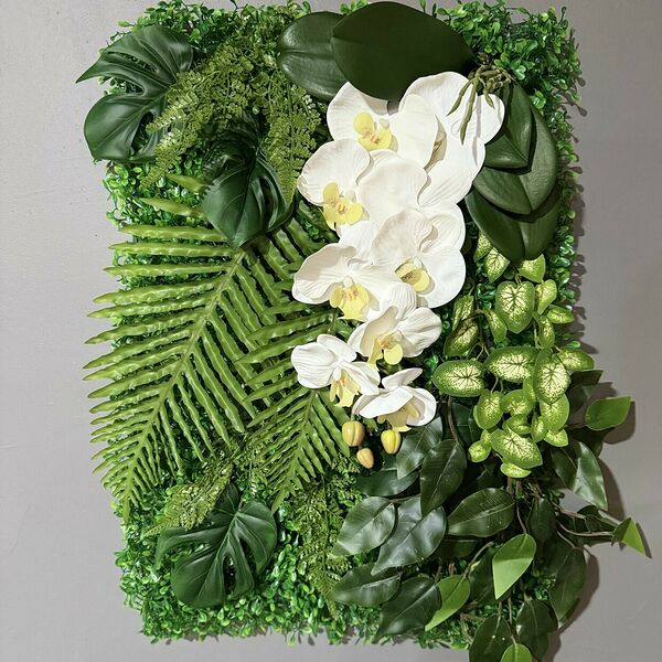 Фитостена «Белая орхидея»