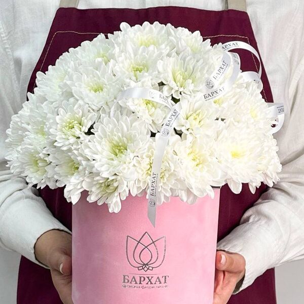 Букет из цветов, монобукет из хризантем Хризантема в розовом боксе