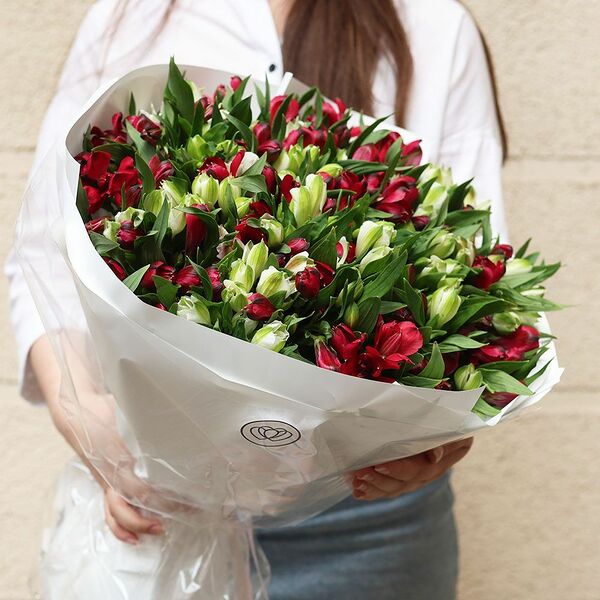 Букет из 51 белой и красной альстромерии в белой круглой упаковке