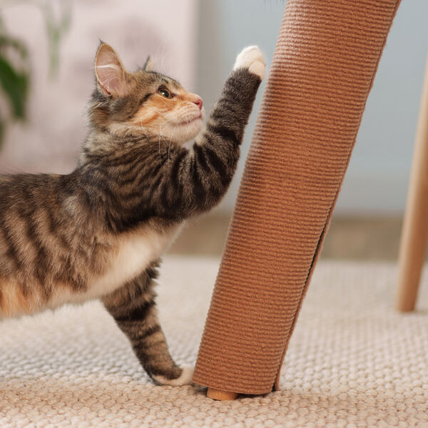 Когтеточка Домоседы на ножку стола для кошек бежевая 60х28 см