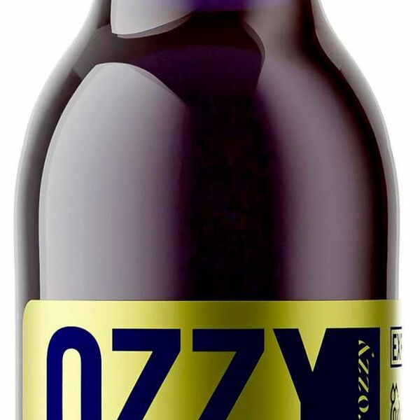Напиток газированный OZZY frozzy Черная смородина и драгонфрут, 330мл