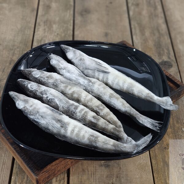 Ледяная рыба