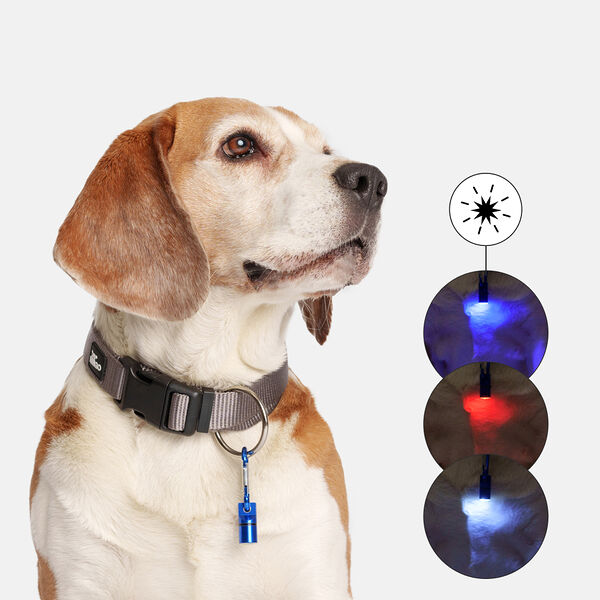 Маячок Rungo светящийся для кошек и собак