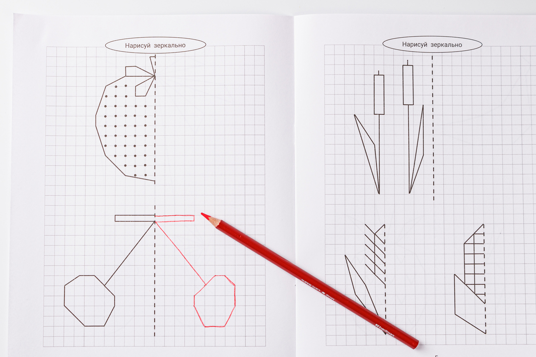 

Раскраска: Нарисуй зеркально Цветы и растения