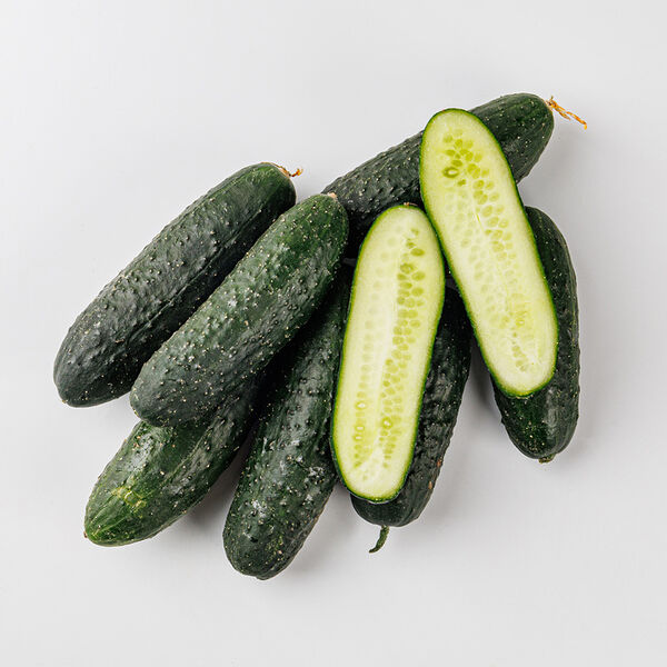 Огурцы грунтовые