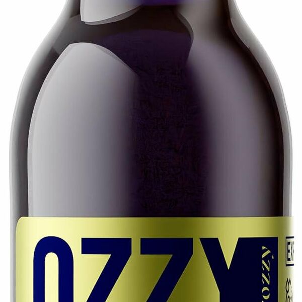Напиток газированный OZZYfrozzy Черная смородина и драгонфрут