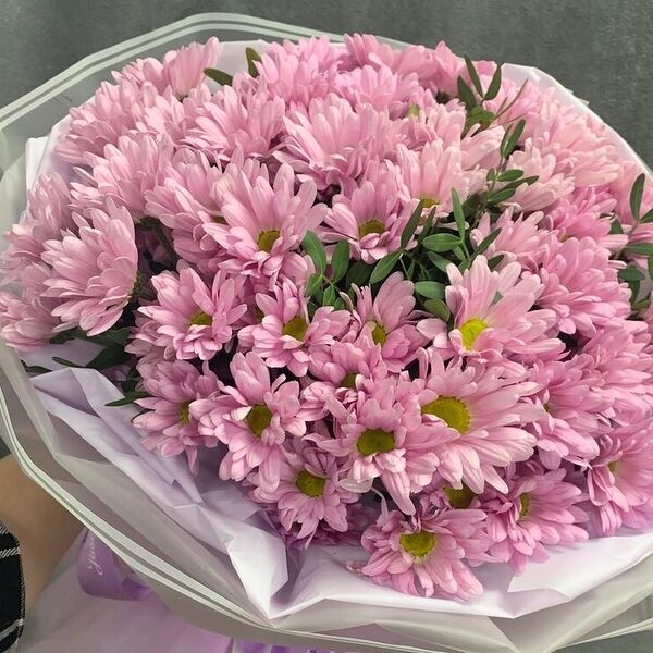 11 хризантем